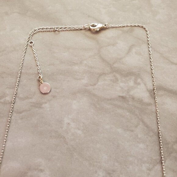 ✨ Stella and Dot Silver Marble Modern Minimalist Pendant Necklace ✨ - Picture 8 of 11